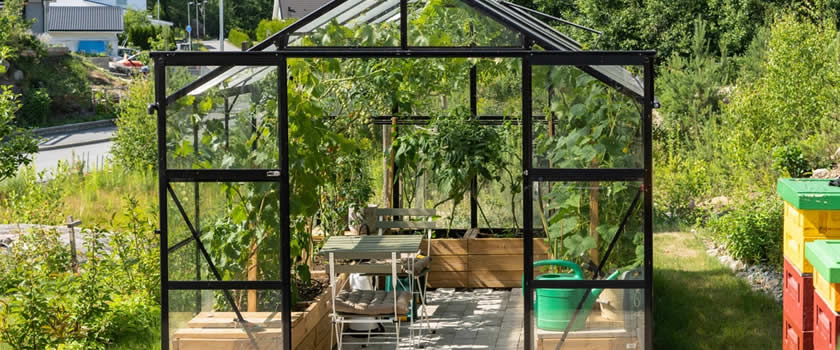 Víte, jak pečovat o zahradní skleník, aby vám sloužil co nejlépe?